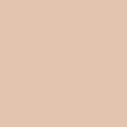 Gypsum Rose Paint Color DET452