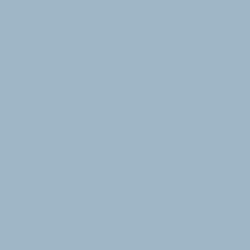 Country Air Paint Color DET581