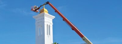 A crane standing in front of a building